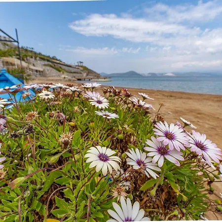 Daire квартиры с собственным пляжем в Adabuku Bodrum